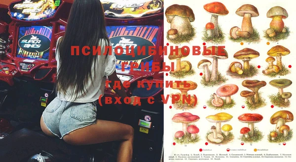 молекула духа Алексеевка