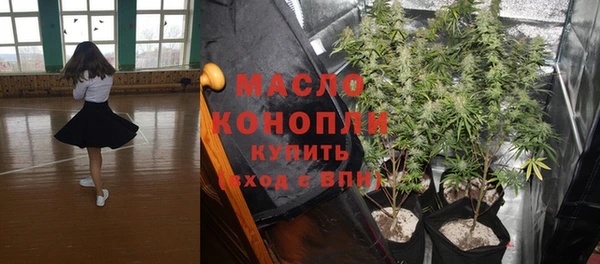 молекула духа Алексеевка