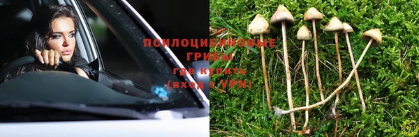 молекула духа Алексеевка